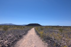 Amboy Crater Trail